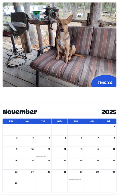 July 2025 - June 2026 Twister - Pawidols Pet Calendar