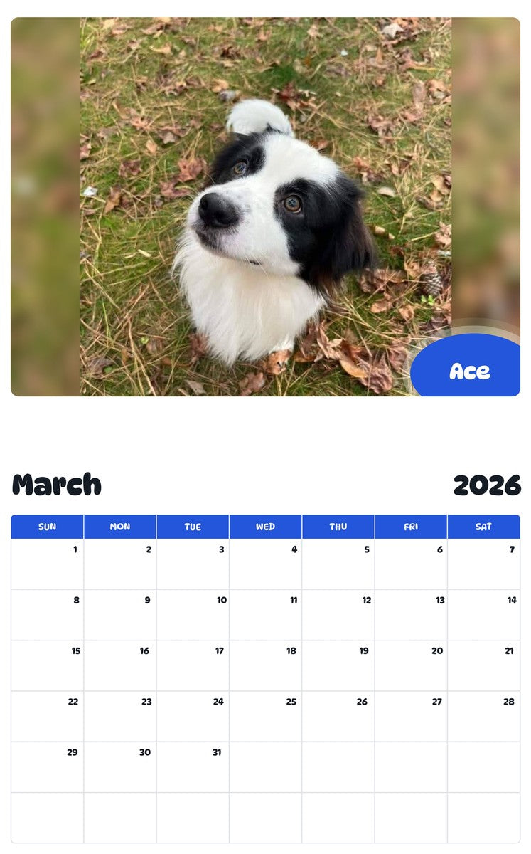 November 2025 - October 2026 Ace - Pawidols Pet Calendar