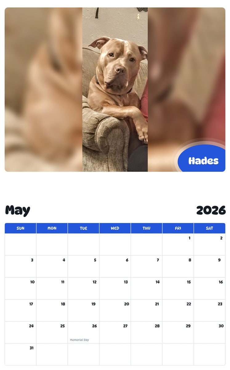 2026 - 2027 Hades - Pawidols Pet Calendar