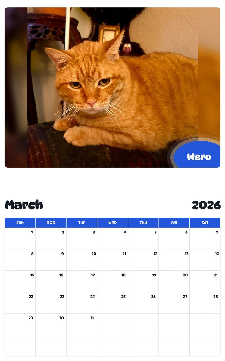 November 2025 - October 2026 Wero - Pawidols Pet Calendar