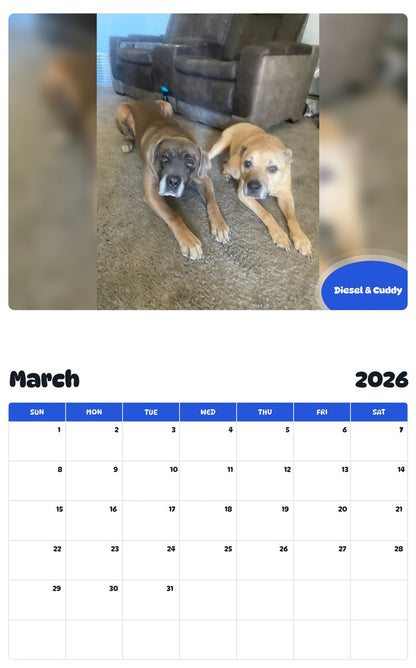 November 2025 - October 2026 Diesel & Cuddy - Pawidols Pet Calendar