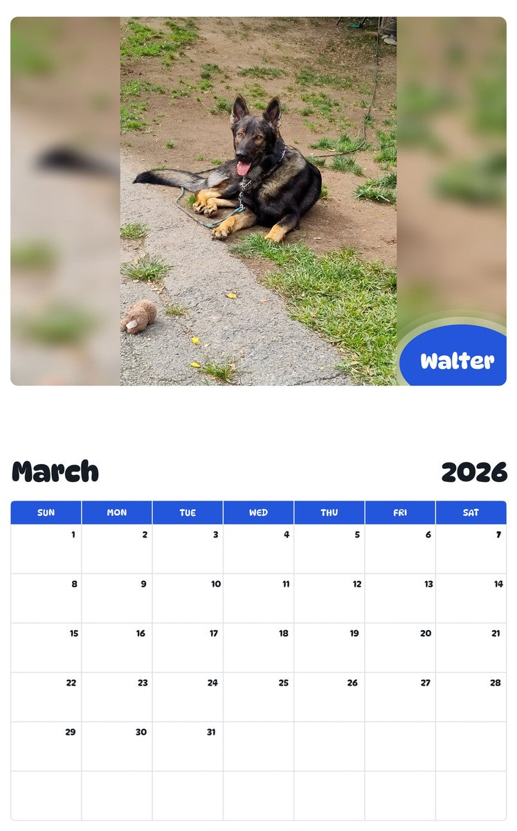 November 2025 - October 2026 Walter - Pawidols Pet Calendar