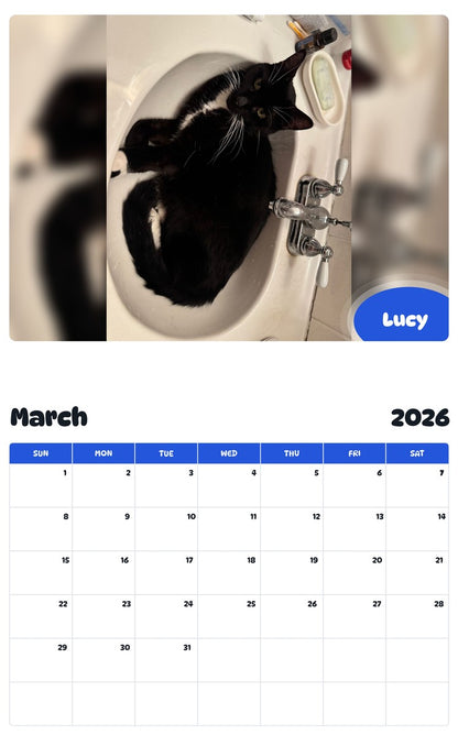 November 2025 - October 2026 Lucy - Pawidols Pet Calendar