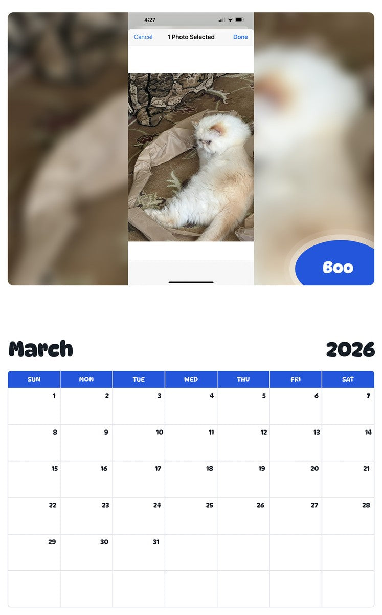 November 2025 - October 2026 Boo - Pawidols Pet Calendar