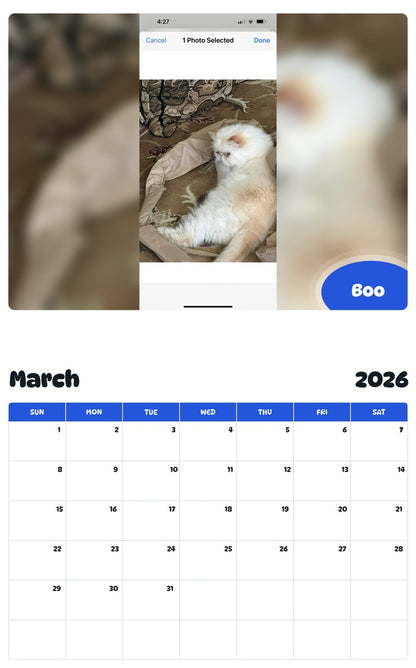 November 2025 - October 2026 Boo - Pawidols Pet Calendar