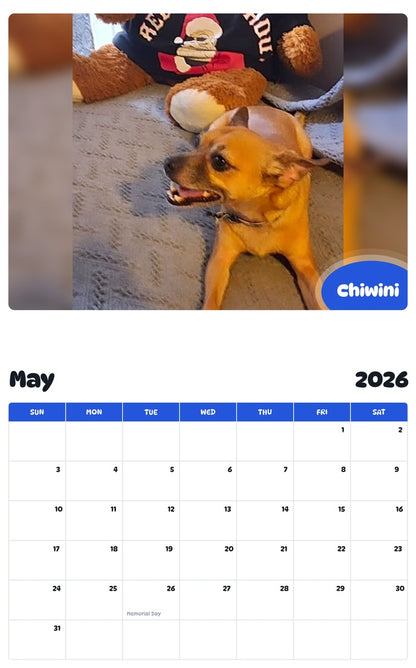2026 - 2027 Chiwini - Pawidols Pet Calendar