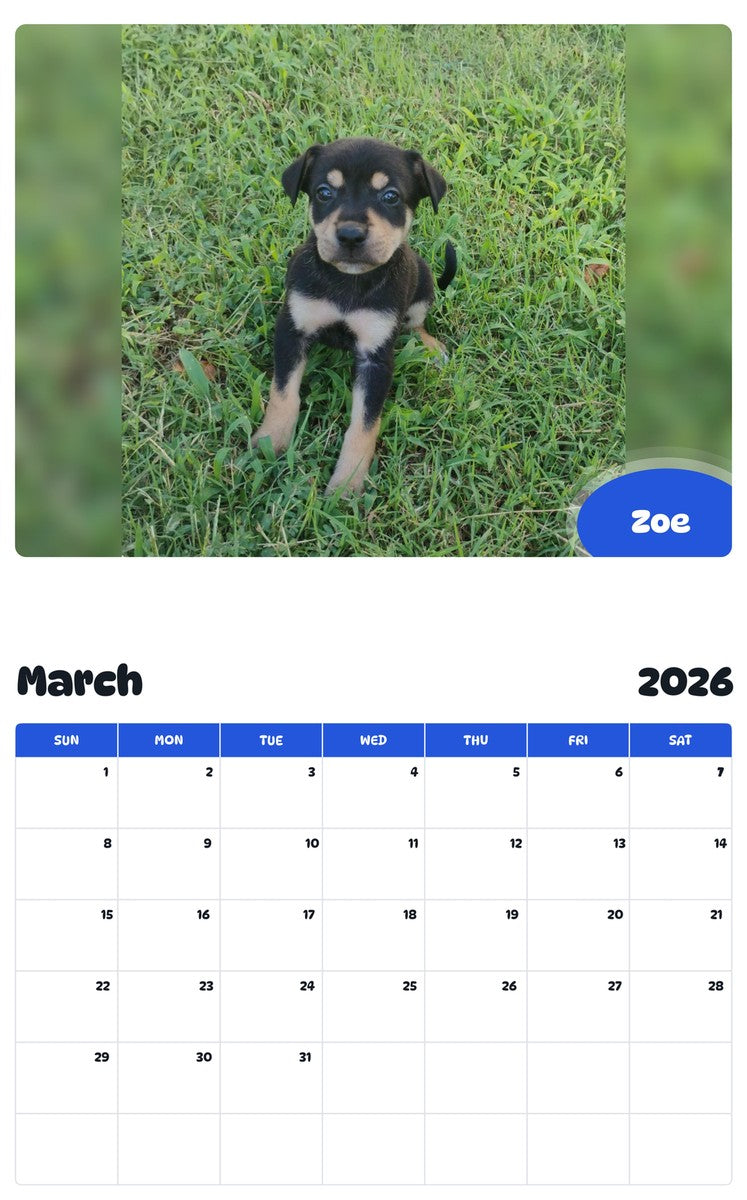November 2025 - October 2026 Zoe - Pawidols Pet Calendar