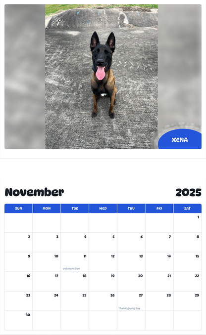 July 2025 - June 2026 Xena - Pawidols Pet Calendar