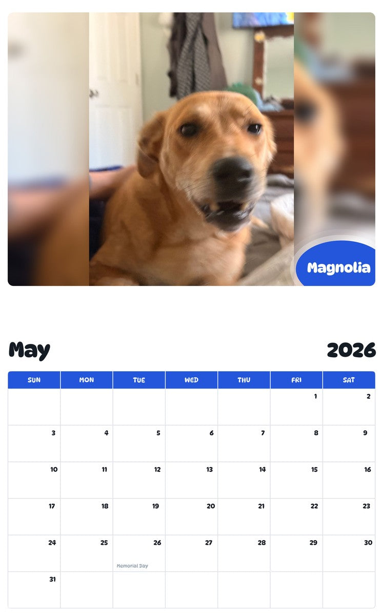 2026 - 2027 Magnolia - Pawidols Pet Calendar