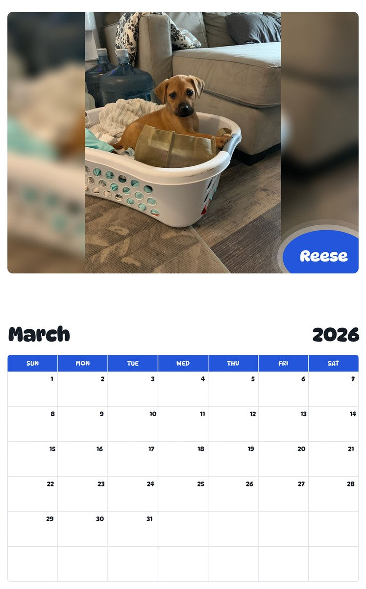 November 2025 - October 2026 Reese - Pawidols Pet Calendar
