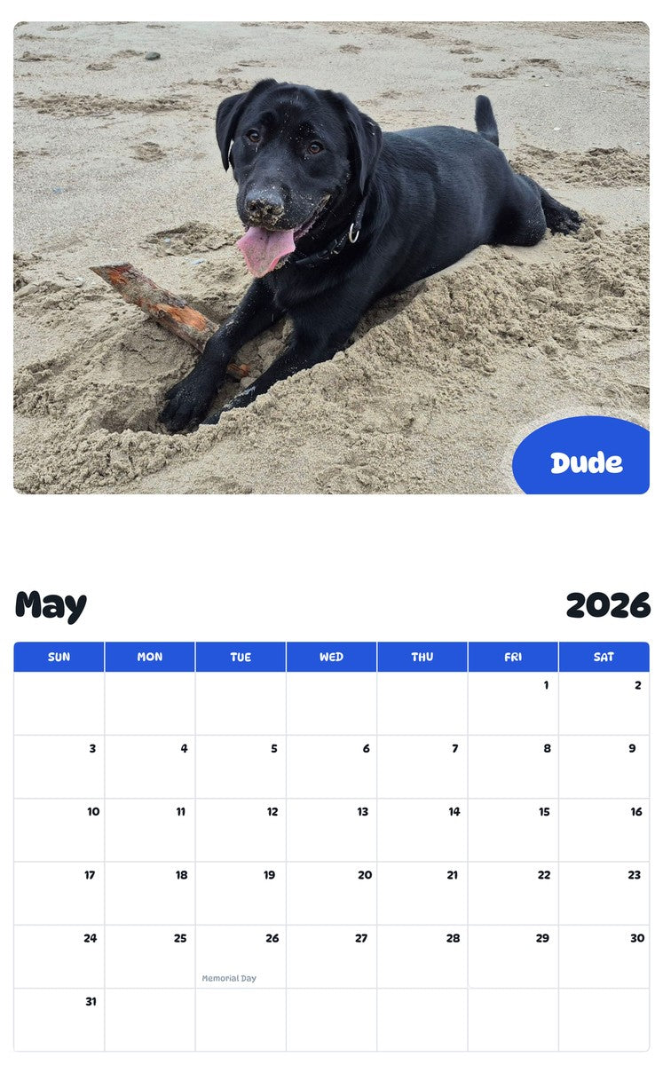 2026 - 2027 Dude - Pawidols Pet Calendar