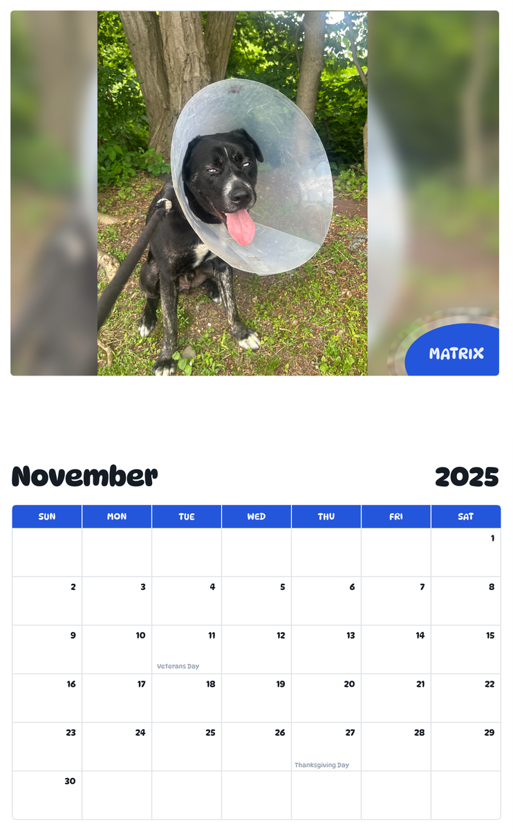 July 2025 - June 2026 Matrix - Pawidols Pet Calendar