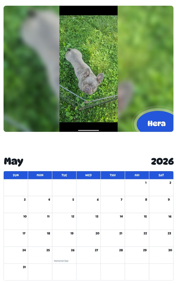 2026 - 2027 Hera - Pawidols Pet Calendar