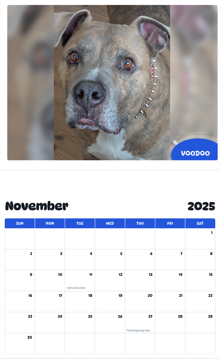 July 2025 - June 2026 Voodoo - Pawidols Pet Calendar