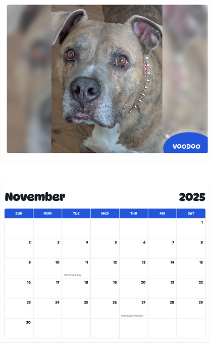 July 2025 - June 2026 Voodoo - Pawidols Pet Calendar