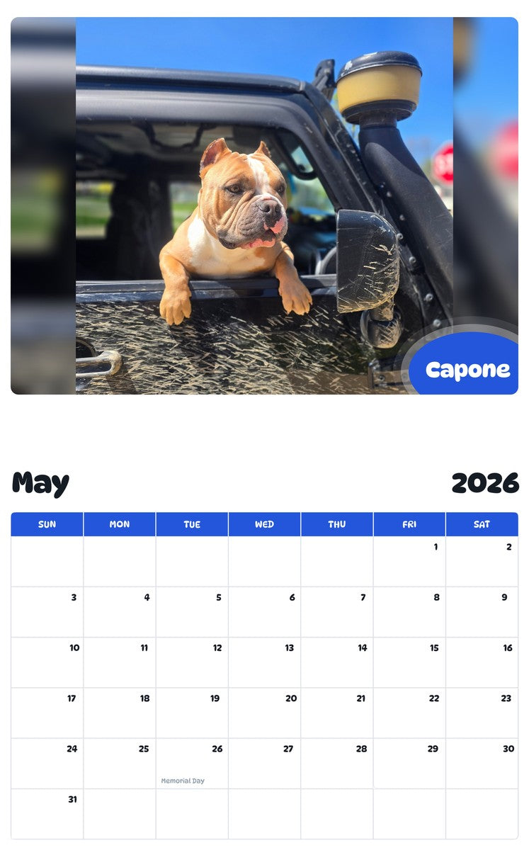 2026 - 2027 Capone - Pawidols Pet Calendar