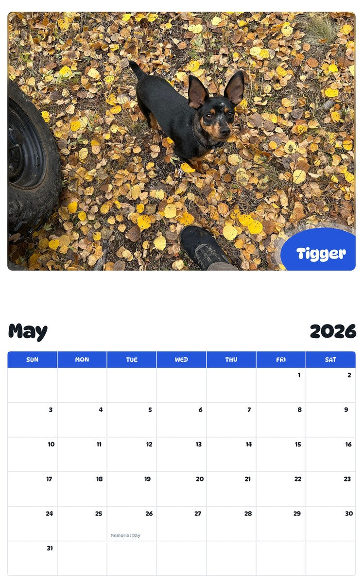 2026 - 2027 Tigger - Pawidols Pet Calendar