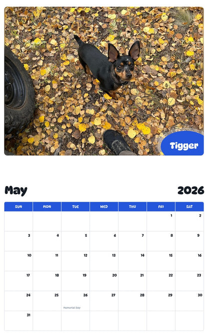 2026 - 2027 Tigger - Pawidols Pet Calendar