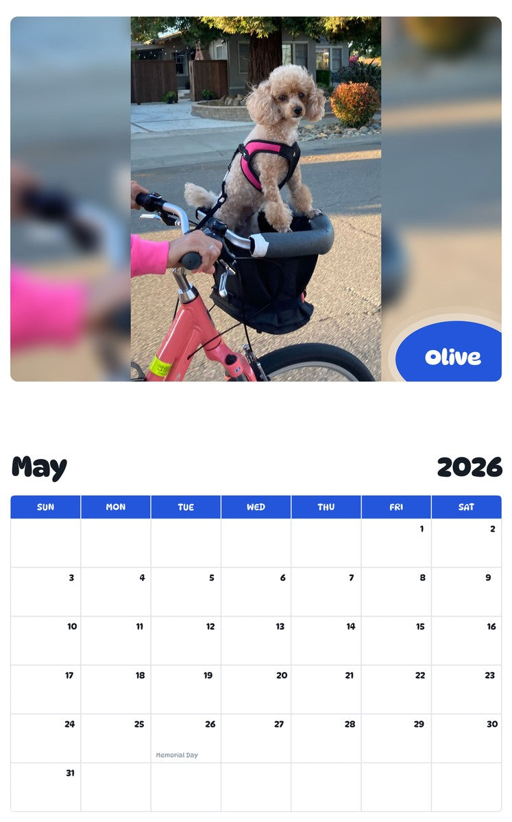 2026 - 2027 Olive - Pawidols Pet Calendar