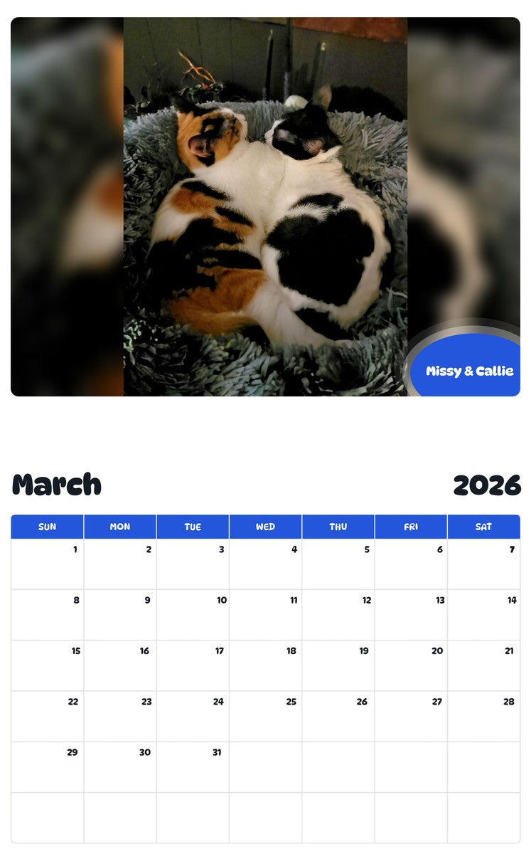 November 2025 - October 2026 Missy & Callie - Pawidols Pet Calendar