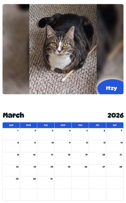 November 2025 - October 2026 Itzy - Pawidols Pet Calendar