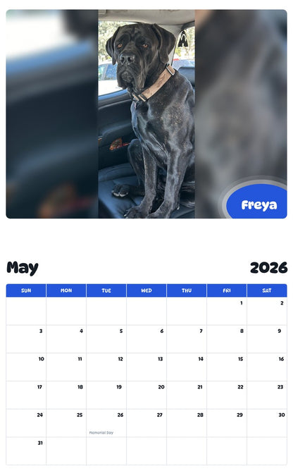 2026 - 2027 Freya - Pawidols Pet Calendar