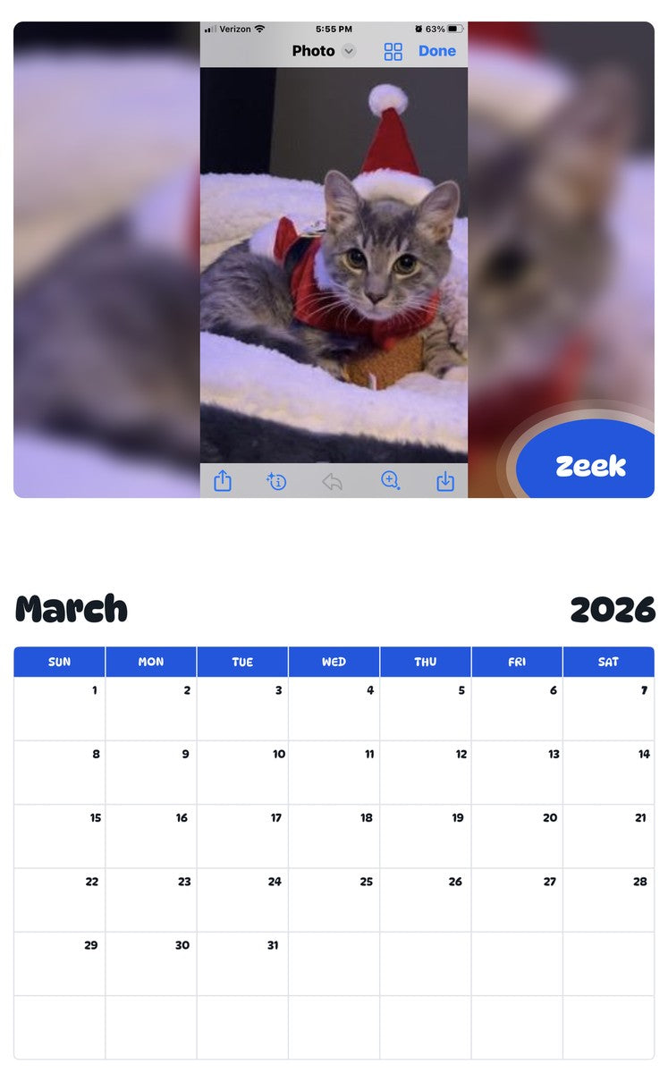 November 2025 - October 2026 Zeek - Pawidols Pet Calendar