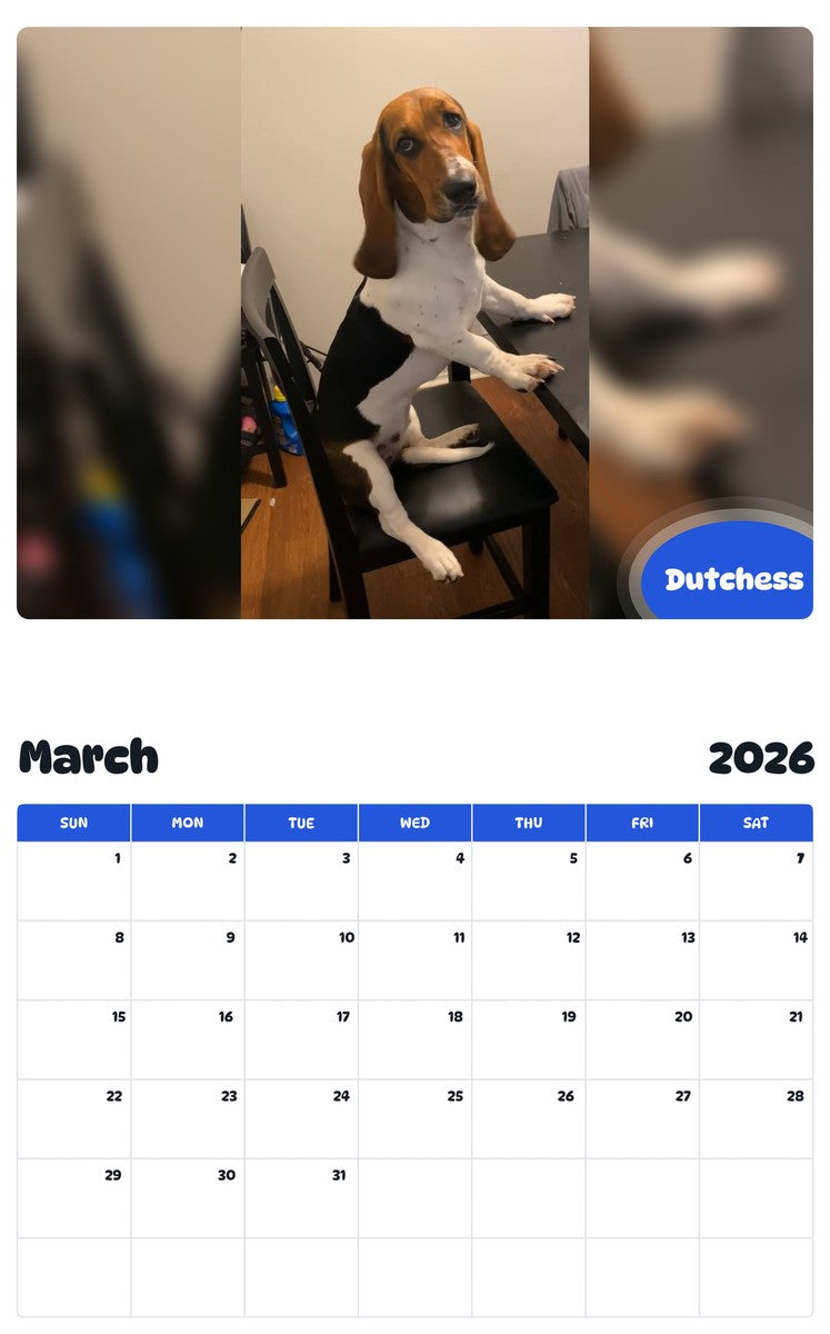 November 2025 - October 2026 Dutchess - Pawidols Pet Calendar