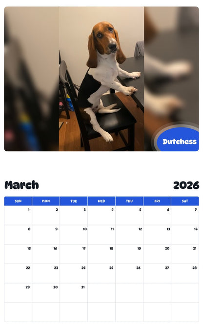 November 2025 - October 2026 Dutchess - Pawidols Pet Calendar