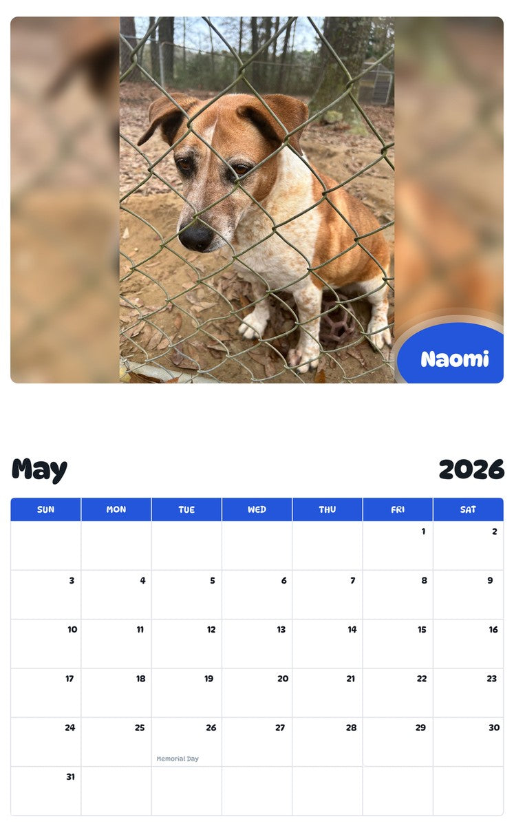 2026 - 2027 Naomi - Pawidols Pet Calendar
