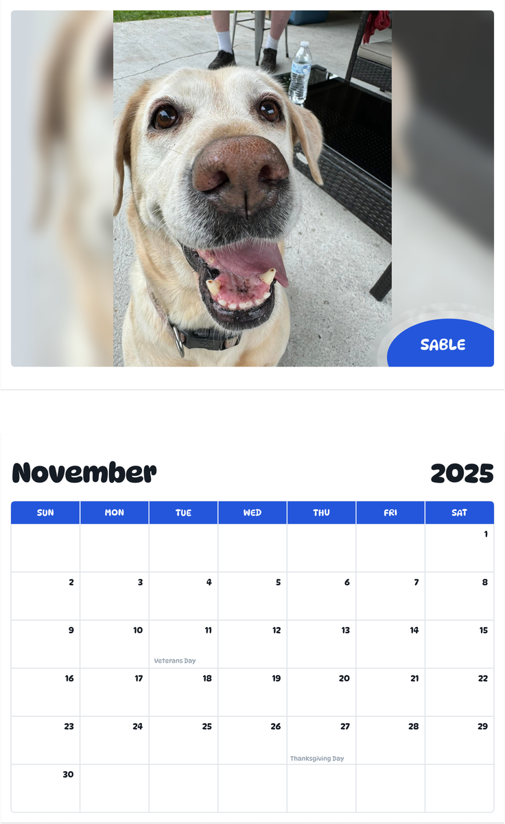 July 2025 - June 2026 Sable - Pawidols Pet Calendar