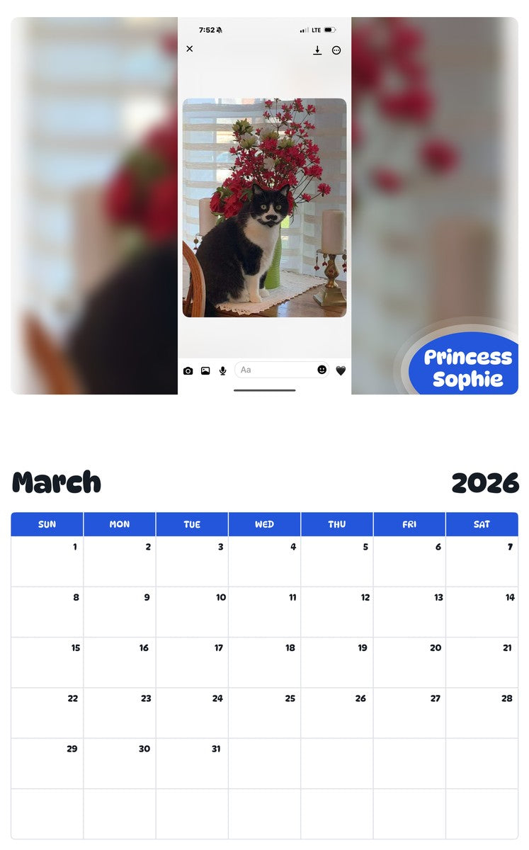 November 2025 - October 2026 Princess Sophie - Pawidols Pet Calendar