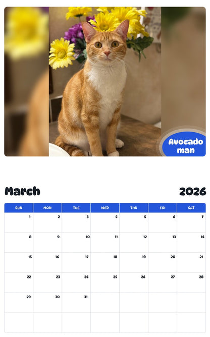 November 2025 - October 2026 Avocado man - Pawidols Pet Calendar