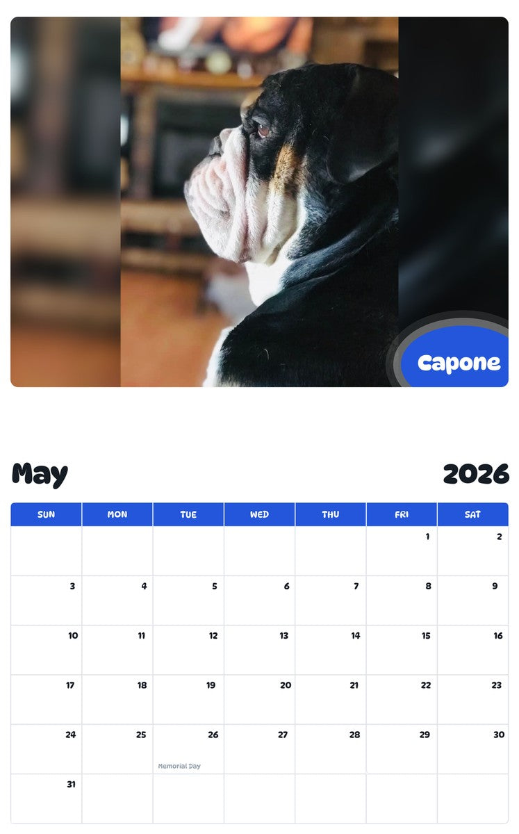 2026 - 2027 Capone - Pawidols Pet Calendar