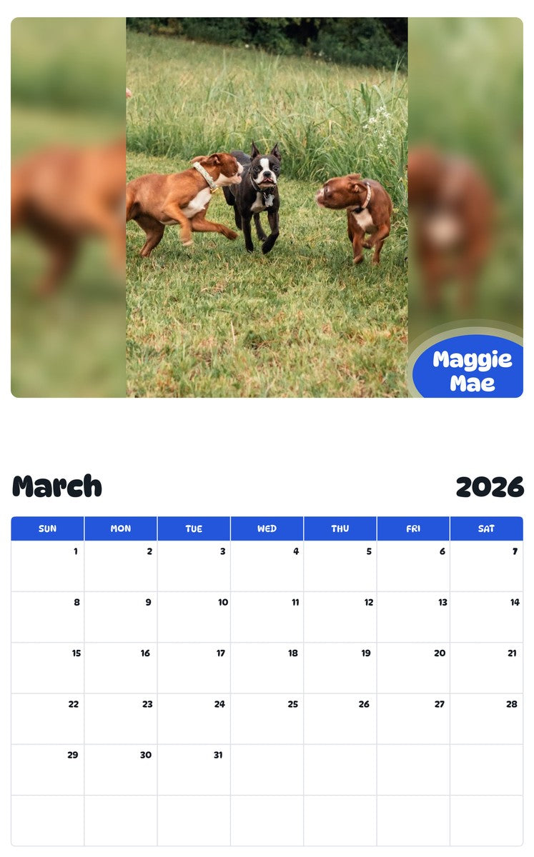 November 2025 - October 2026 Maggie Mae - Pawidols Pet Calendar