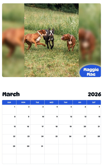 November 2025 - October 2026 Maggie Mae - Pawidols Pet Calendar