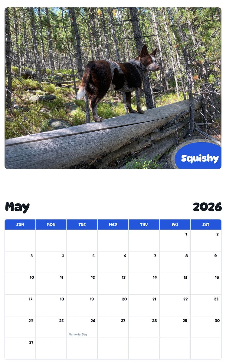 2026 - 2027 Squishy - Pawidols Pet Calendar