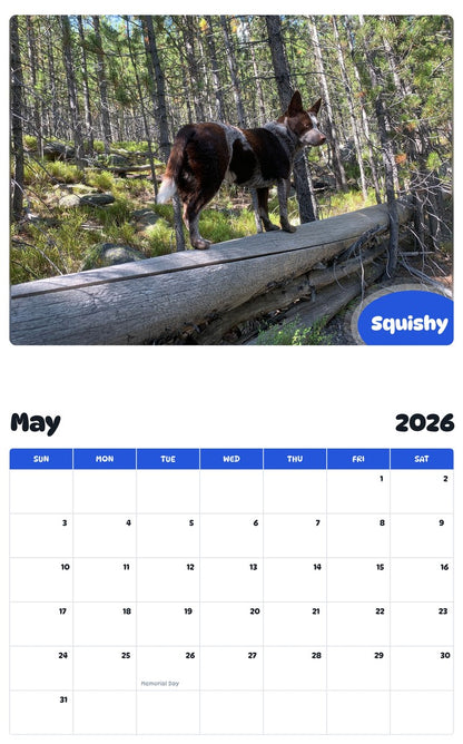 2026 - 2027 Squishy - Pawidols Pet Calendar