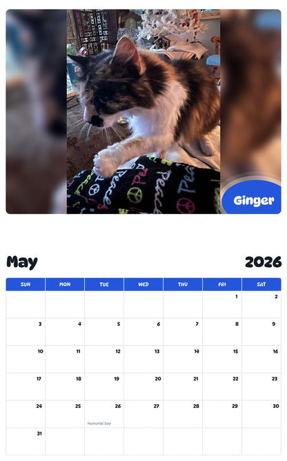 2026 - 2027 Ginger - Pawidols Pet Calendar