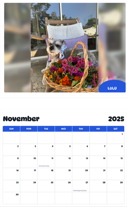 July 2025 - June 2026 Lulu - Pawidols Pet Calendar