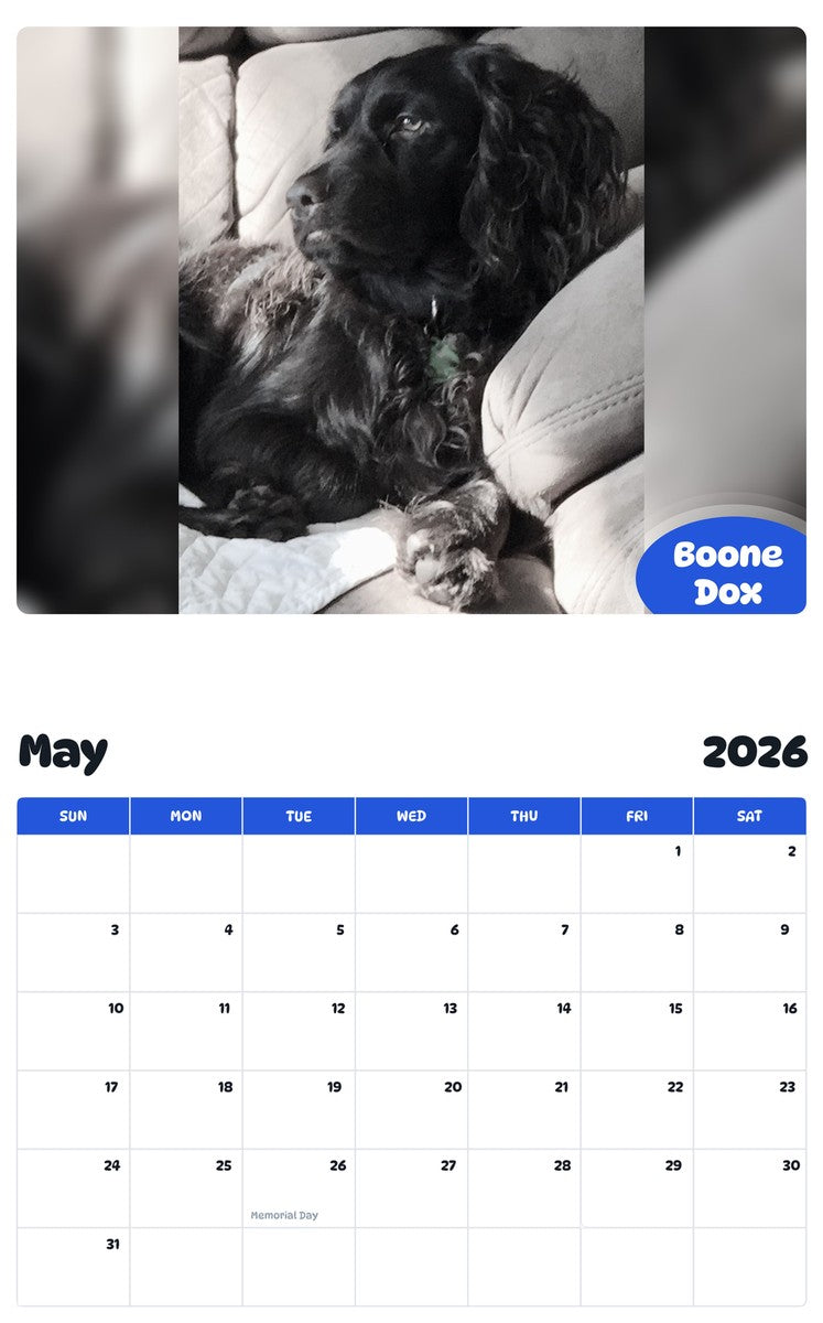 2026 - 2027 Boone Dox - Pawidols Pet Calendar