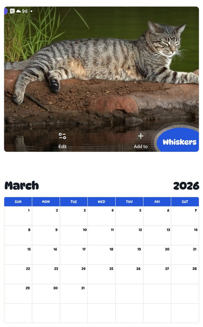 November 2025 - October 2026 Whiskers - Pawidols Pet Calendar
