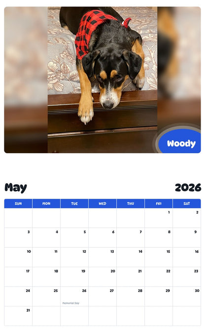 2026 - 2027 Woody - Pawidols Pet Calendar