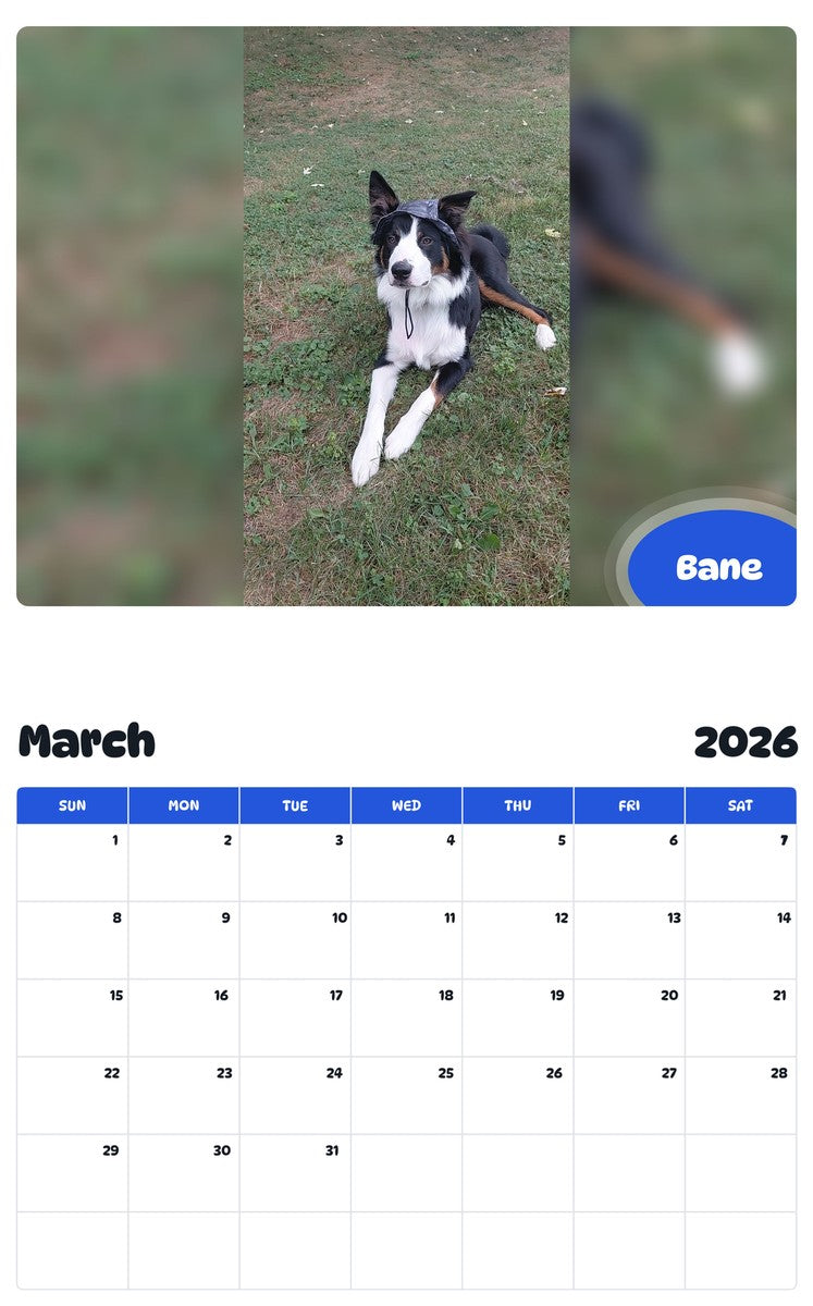 November 2025 - October 2026 Bane - Pawidols Pet Calendar