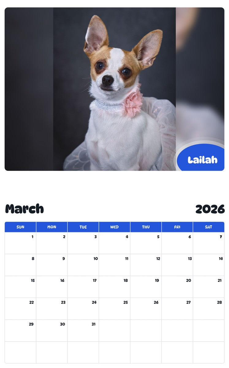 November 2025 - October 2026 Lailah - Pawidols Pet Calendar