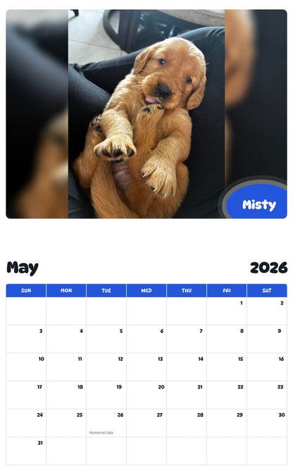 2026 - 2027 Misty - Pawidols Pet Calendar