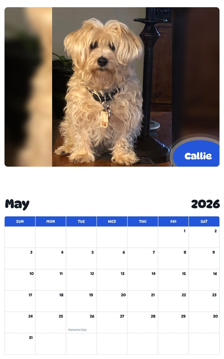 2026 - 2027 Callie - Pawidols Pet Calendar