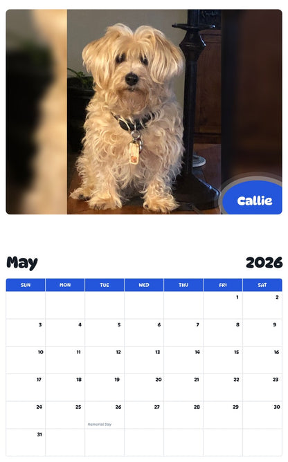 2026 - 2027 Callie - Pawidols Pet Calendar