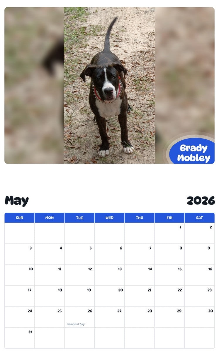 2026 - 2027 Brady Mobley - Pawidols Pet Calendar