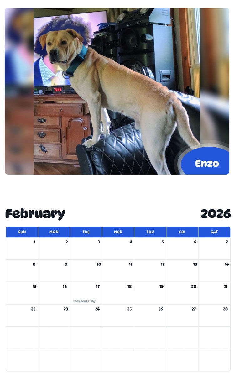 October 2025 - September 2026 Enzo - Pawidols Pet Calendar